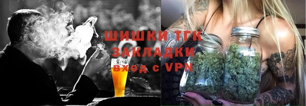 ГАЛЛЮЦИНОГЕННЫЕ ГРИБЫ Костерёво