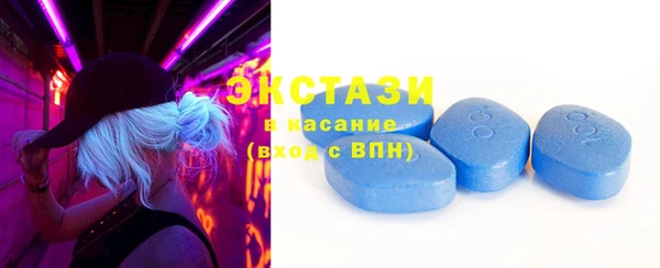 мдпв Краснослободск