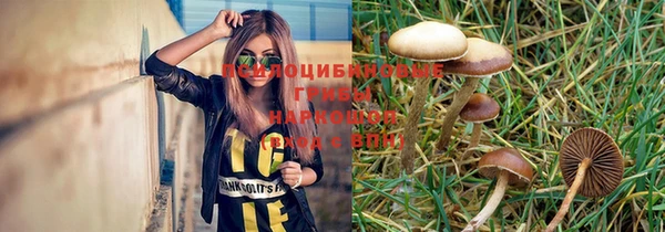 ГАЛЛЮЦИНОГЕННЫЕ ГРИБЫ Костерёво
