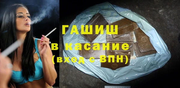 мдпв Краснослободск