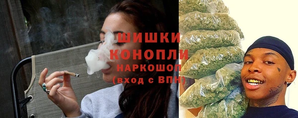 мдпв Краснослободск