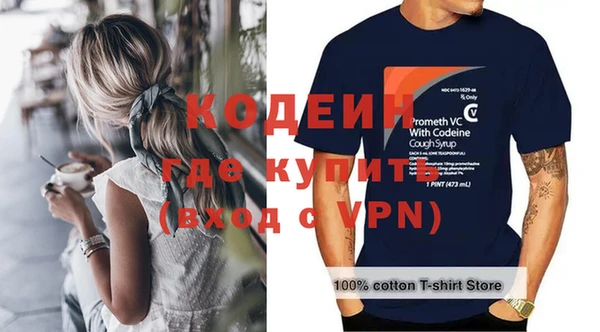 мдпв Краснослободск