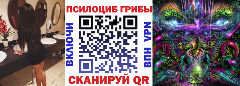 Галлюциногенные грибы Psilocybe  OMG ТОР  Называевск 